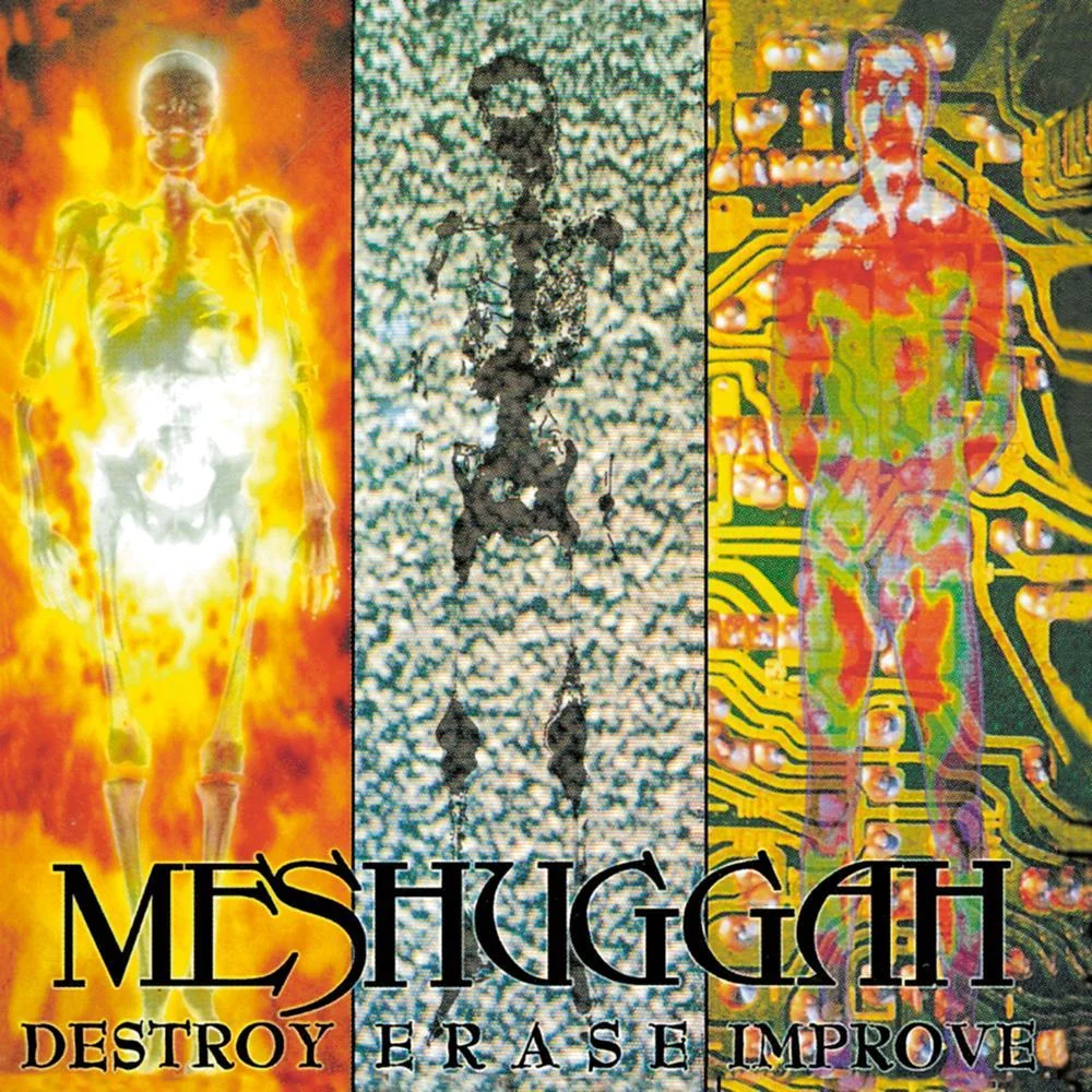 1995 Destroy Erase Improve